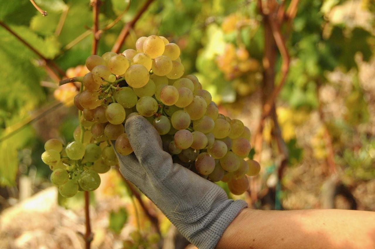 La Casa Del Podere Кастеларо Екстериор снимка
