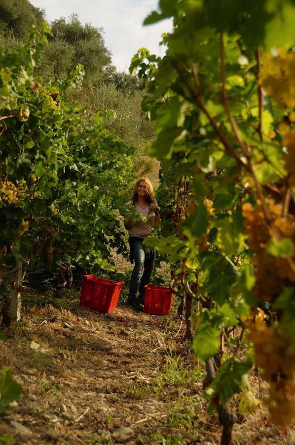 La Casa Del Podere Кастеларо Екстериор снимка