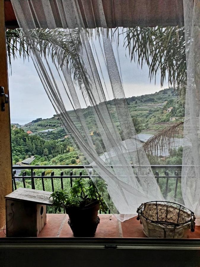 La Casa Del Podere Кастеларо Екстериор снимка