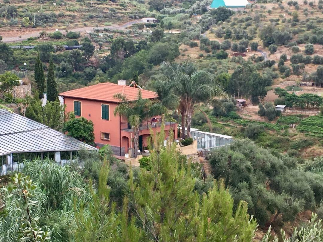 La Casa Del Podere Кастеларо Екстериор снимка